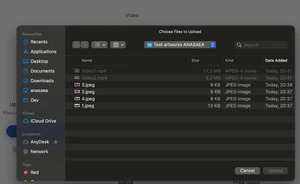 Artwork preview image