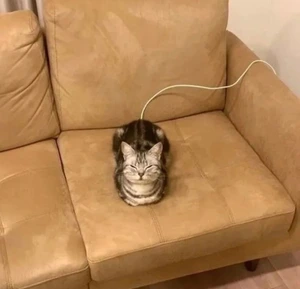 Artwork preview image