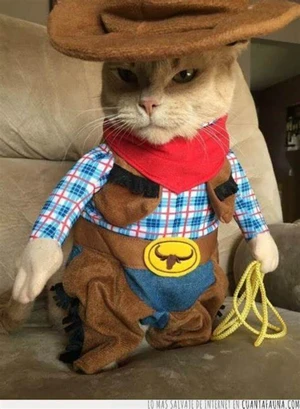 Artwork preview image