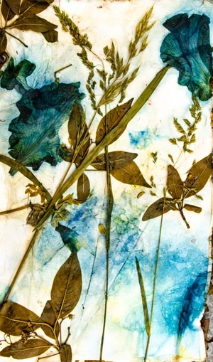 Artwork preview image