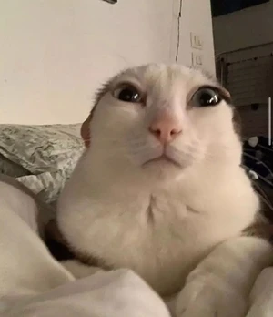 Artwork preview image