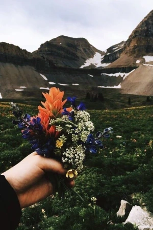 Artwork preview image