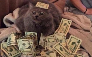 Artwork preview image