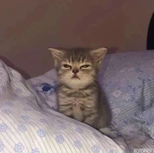 Artwork preview image