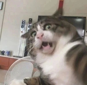 Artwork preview image