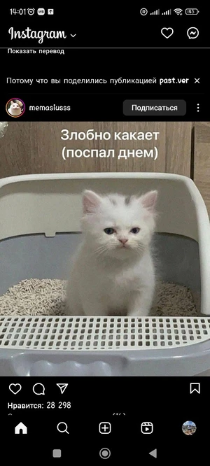 Artwork preview image